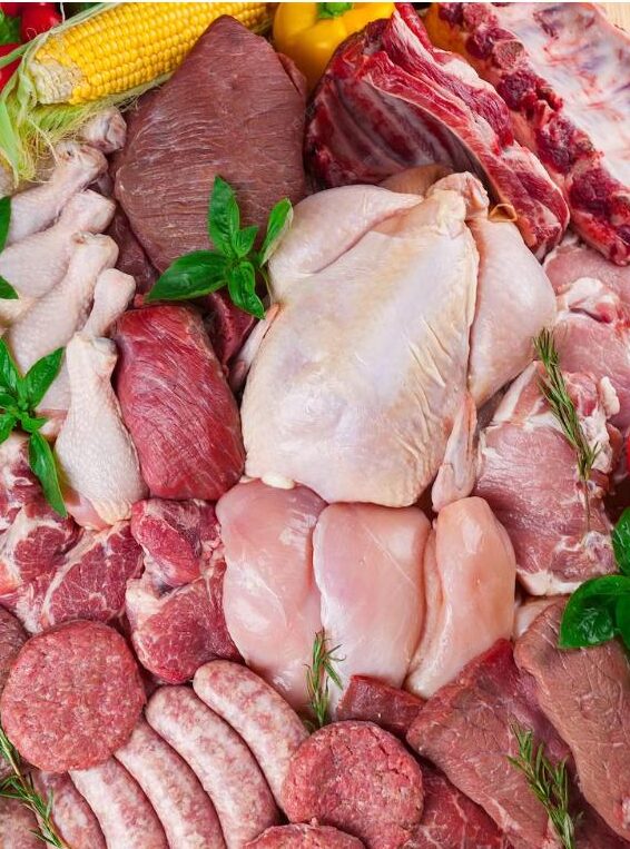 Fleisch