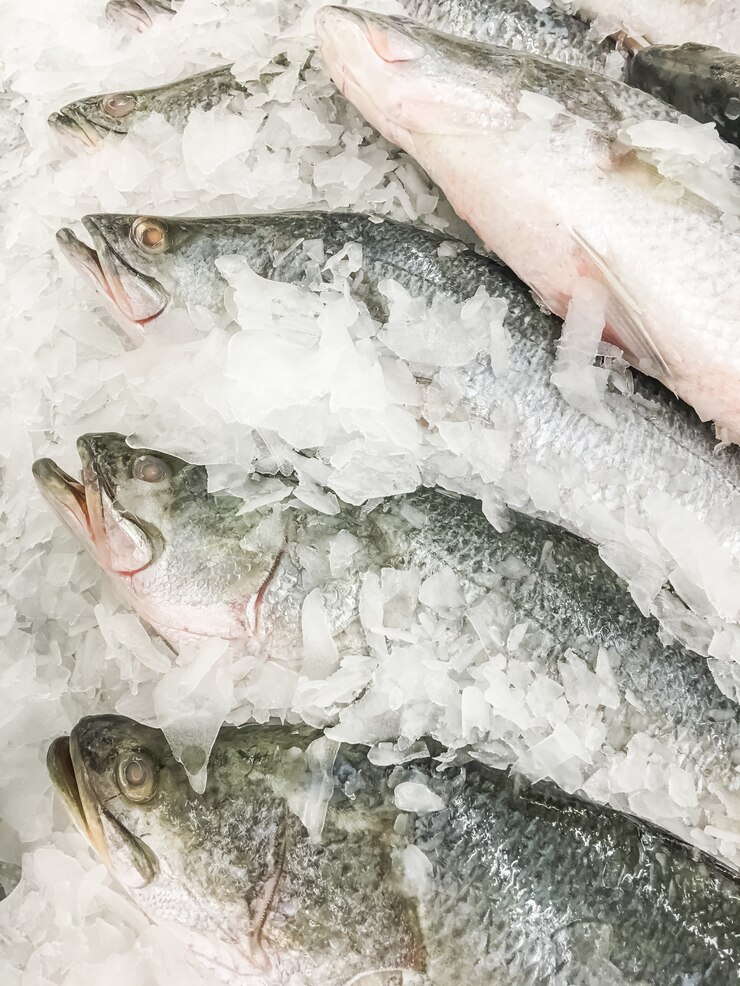 Fisch