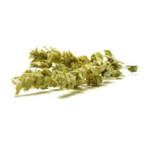 Griechischer Bergtee