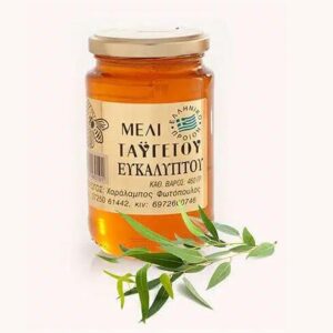 Taygetos Eukalyptushonig