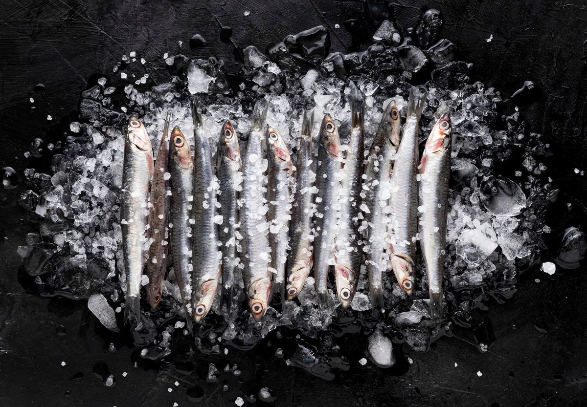 Fischspezialitäten