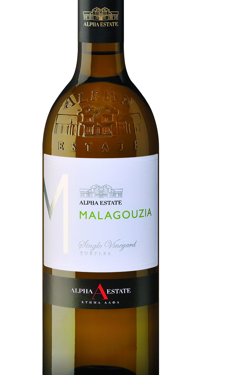 Malagouzia Turtles SV NV