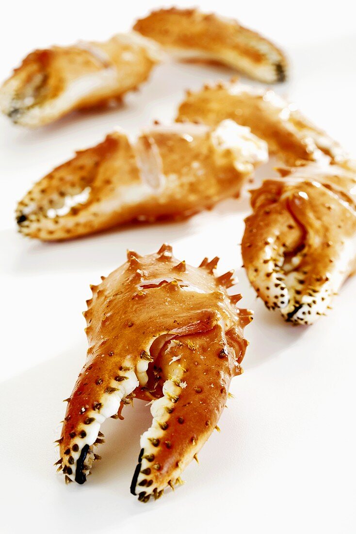 Krabbenscheren Lanaras 1kg
