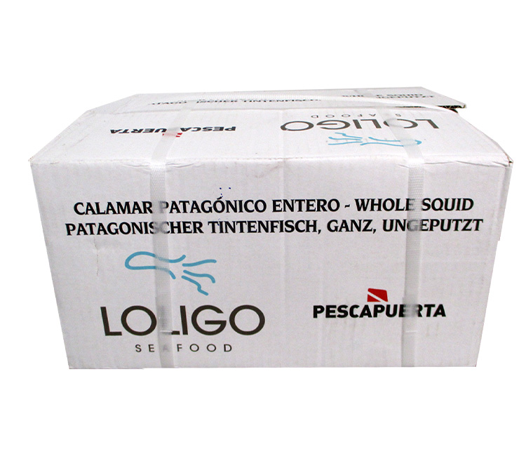 Loligo Ganzer Patagonischer Kalamari ca.5 kg