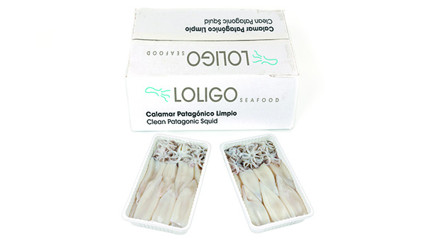 Loligo Patagonischer Kalamari gereinigt 6*1kg