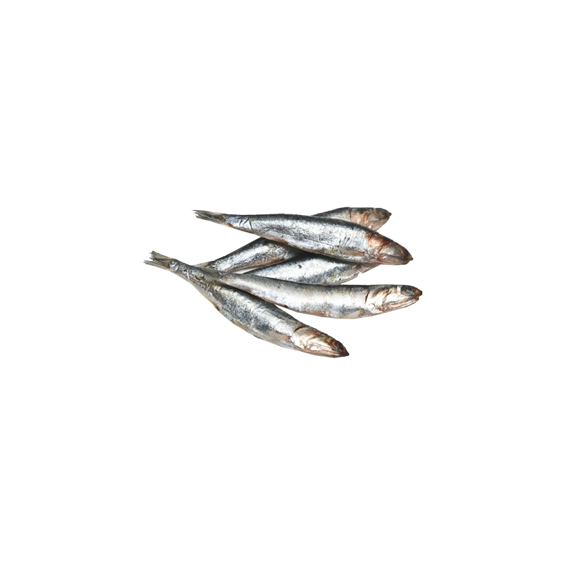 Anchovies aus Griechenland, ganz, tiefgefroren 1kg